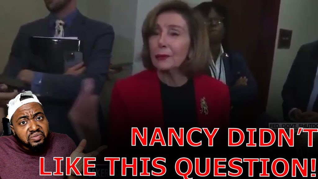Nancy Pelosi FUMES After Reporter CONFRONTS Her With The TRUTH On Democrats Shutting Down Government