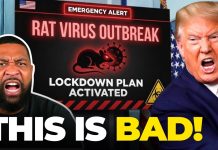 Cities TO LOCKDOWN as Cruise Ship Virus Spreads? Cities TO LOCKDOWN as Cruise Ship Virus Spreads?